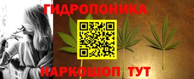 дмт Донской